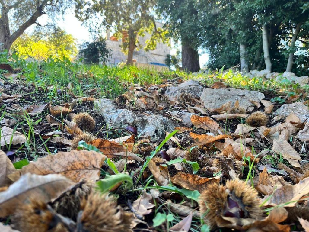 Appartamento Il Trullo E Il Fortino *